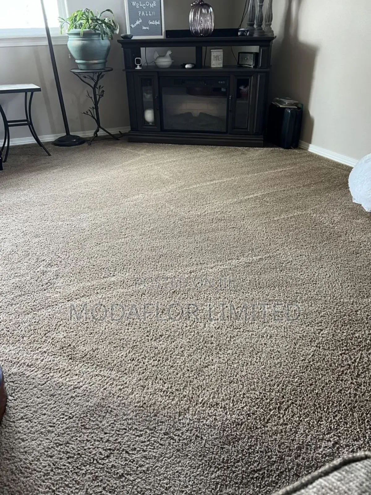 Modern Vip Carpet 8mm | Comfortable Durable