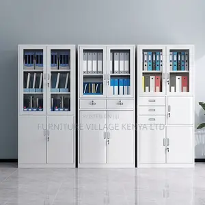 Office Cabinet; 2-door Metallic Office Cabinet