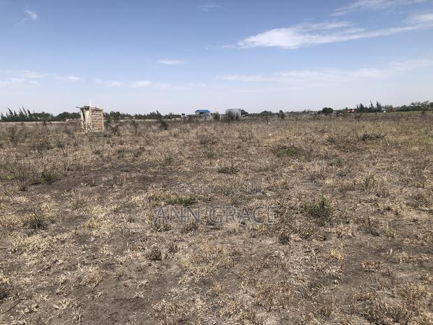 2 and 1/4 Acres for Sale - thumbnail 3