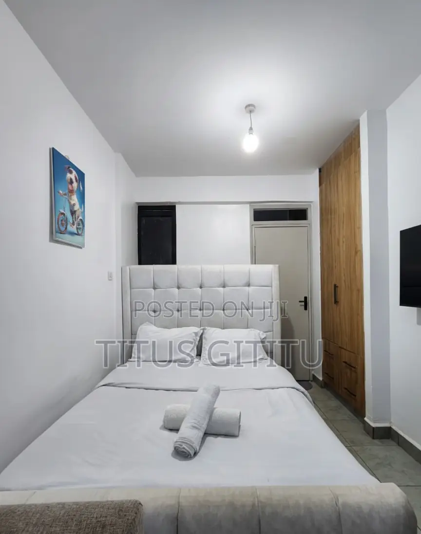 Cozy Studio Airbnb Roysambu | Near Safari Park Kasarani Stadium |