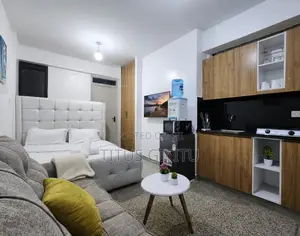 Cozy Studio Airbnb Roysambu | Near Safari Park Kasarani Stadium |