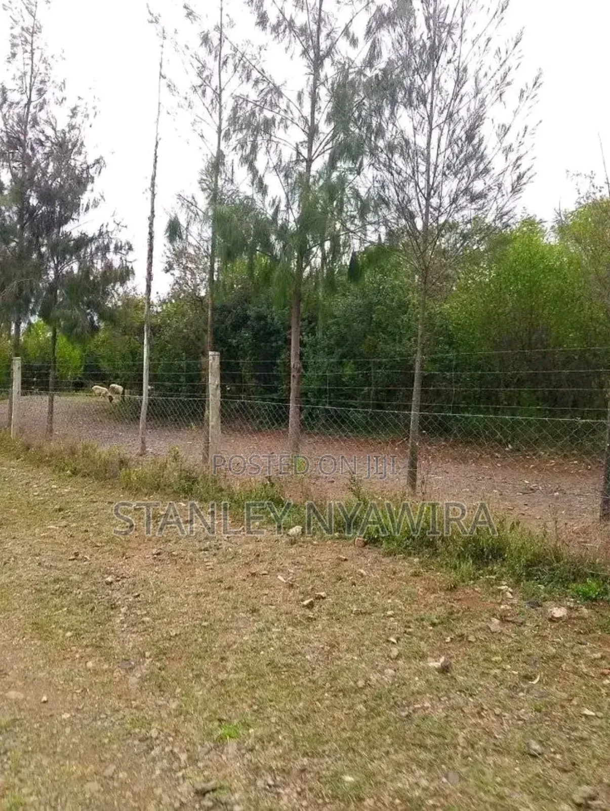 10 Acreas Fronting River Nanyuki On Sale