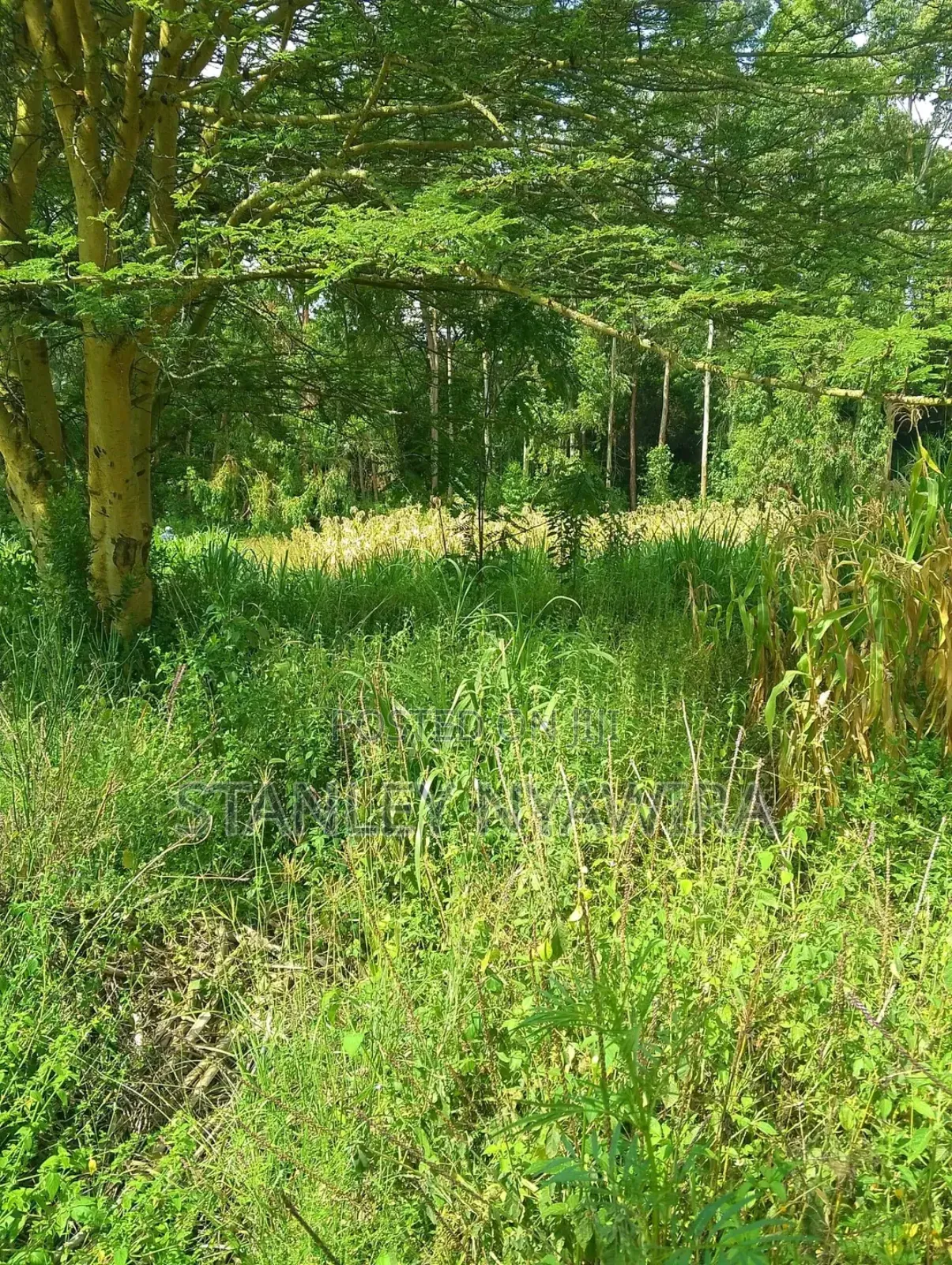10 Acreas Fronting River Nanyuki On Sale