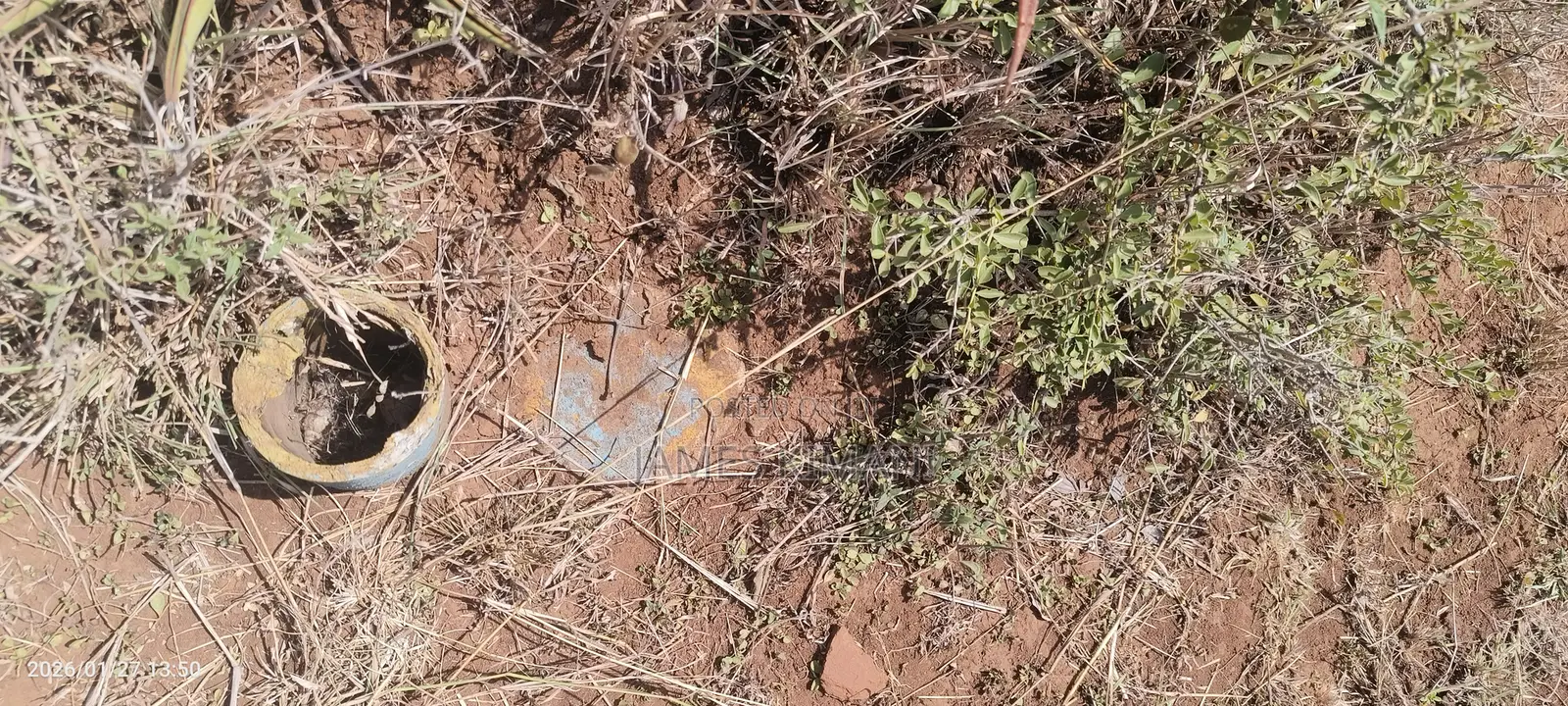 50 by 100 Plot Close to Thika Super Highway | Owner Selling