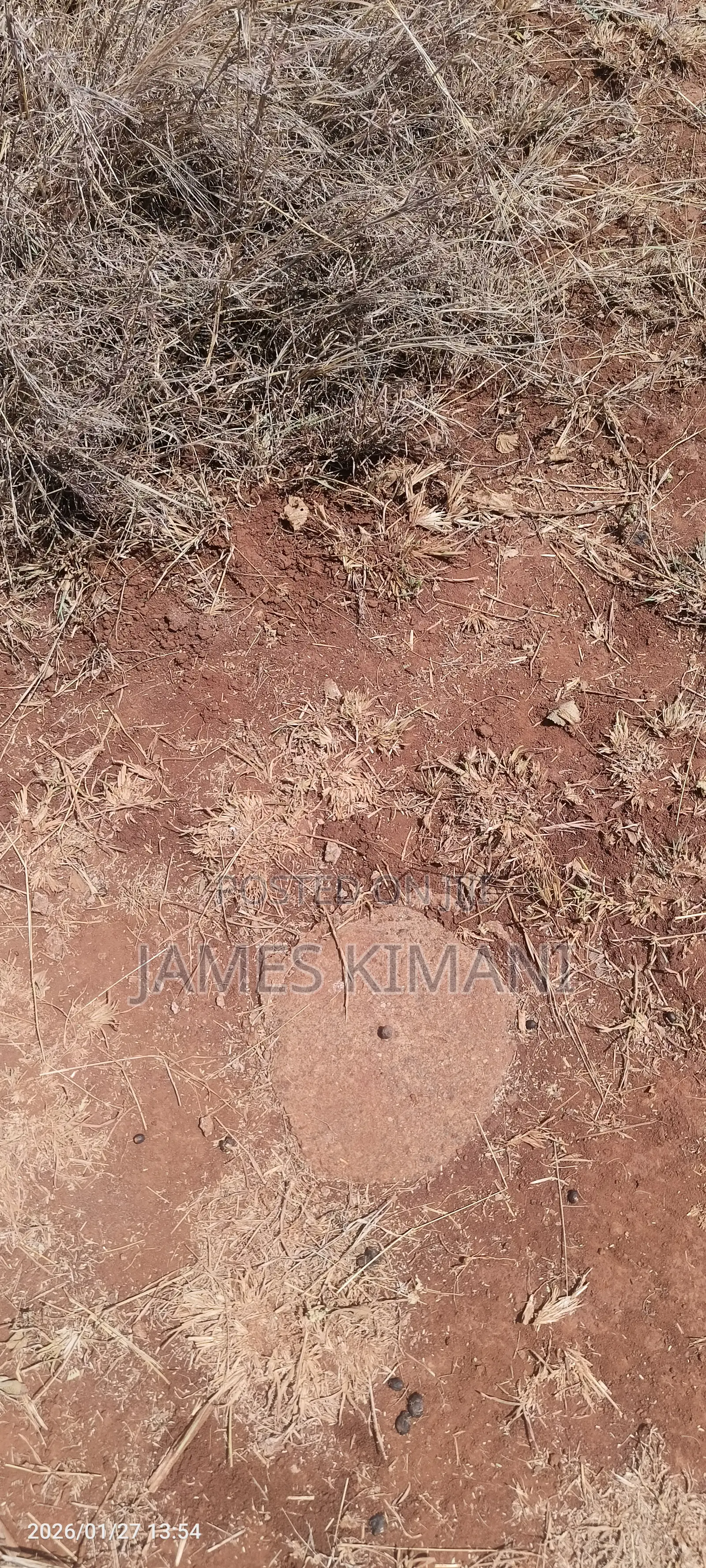 50 by 100 Plot Close to Thika Super Highway | Owner Selling