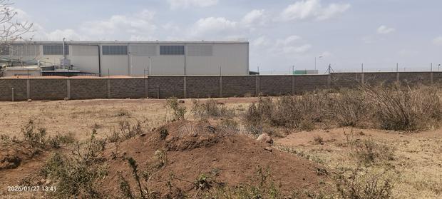 50×100 Plot For Sale Near Thika Super Highway – Direct Deal