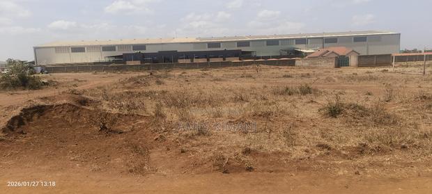 50 by 100 Plot Close to Thika Super Highway, No Broker, Red Soil - thumbnail 4