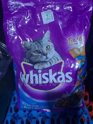 Cat Food for Adults and Kittens