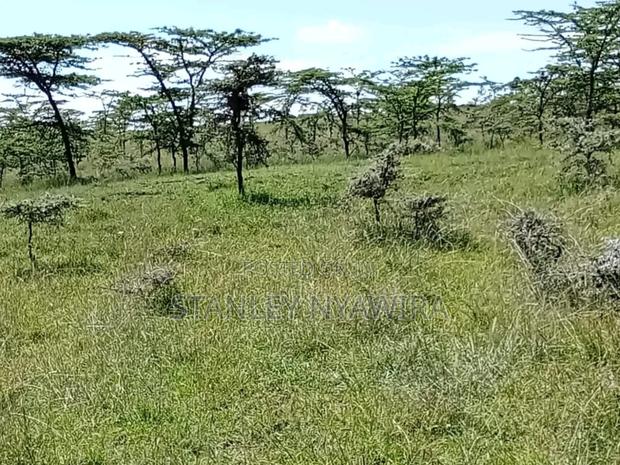 5 Acreas Uruku Nyeri Nyahururu Highway - thumbnail 3