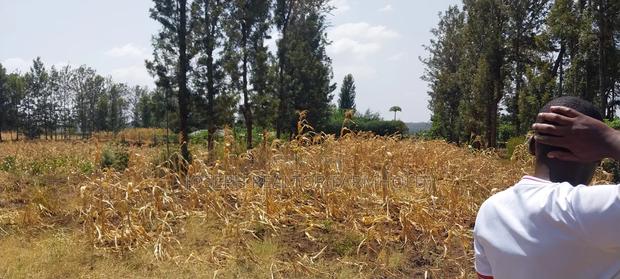 Makutano (Mwea) at 650,000 for a 50*100 Plot - thumbnail 6