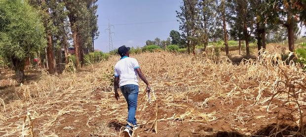 Makutano (Mwea) at 650,000 for a 50*100 Plot - thumbnail 9