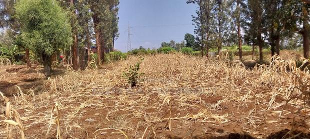 Makutano (Mwea) at 650,000 for a 50*100 Plot - thumbnail 11