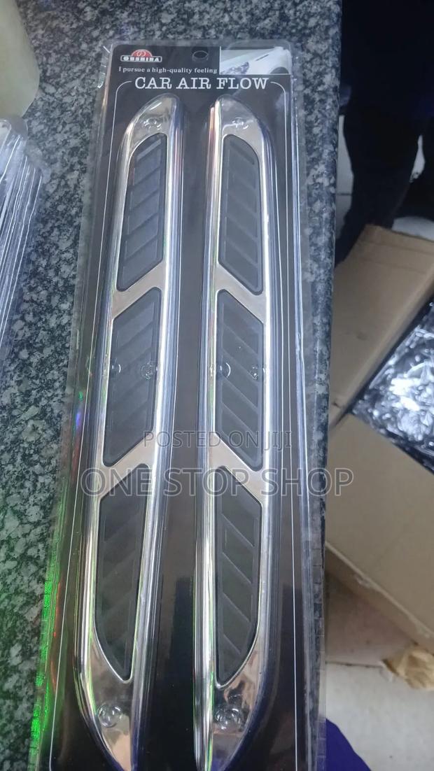 2pcs Side Vent Grille Hood Carecoration - main view