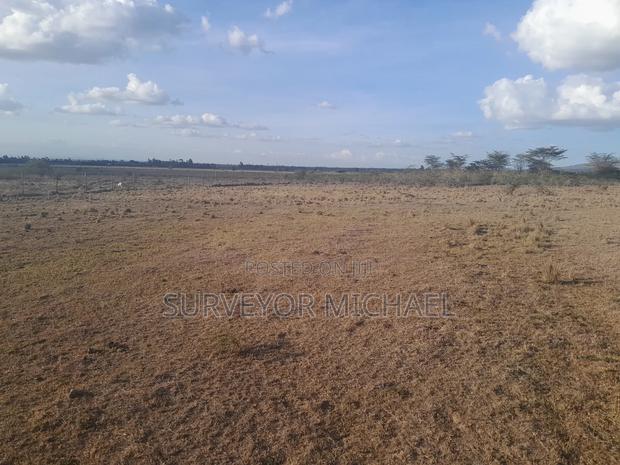 Kantafu Plot - thumbnail 5