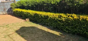 2bdrm Bungalow in Outspan, Racecourse for sale