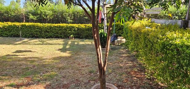 2bdrm Bungalow in Outspan, Racecourse for sale - thumbnail 12