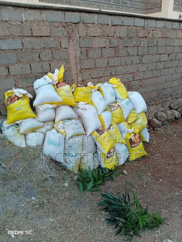 Chicken Manure - main view