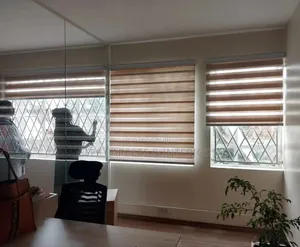 Zebra Shades Blinds
