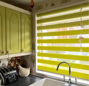 Layered Zebra Blinds Shades