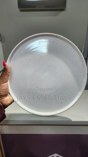 6pcs Round Ribbed Dinner Plates