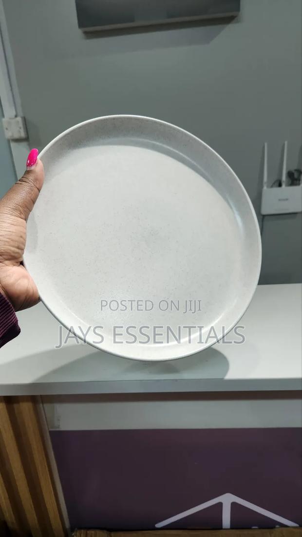 6pc Round Premium Dinner Plates - thumbnail 3