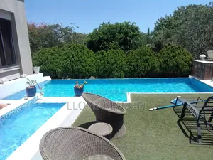 Pool Vacuuming