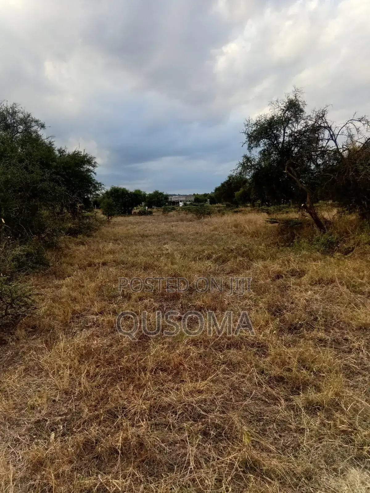 Affordable 1/8 Acre Serenity Plot, Stage 3 Olooloitikoshi, Kitengela
