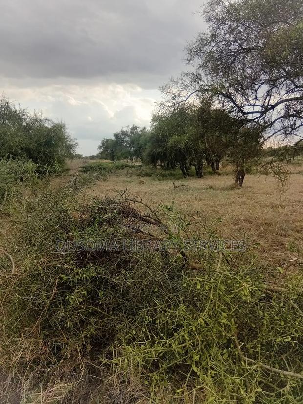 Affordable 1/8 Acre Serenity Plot, Stage 3 Olooloitikoshi, Kitengela - thumbnail 3