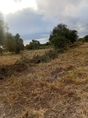 Affordable 1/8 Acre Serenity Plot, Stage 3 Olooloitikoshi, Kitengela