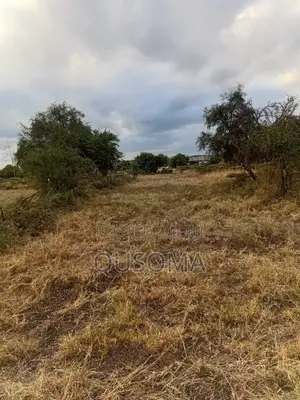Affordable 1/8 Acre Serenity Plot, Stage 3 Olooloitikoshi, Kitengela