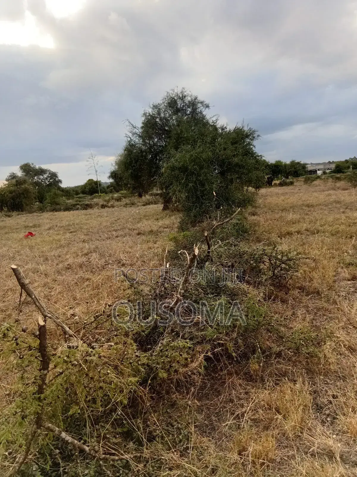 Affordable 1/8 Acre Serenity Plot, Stage 3 Olooloitikoshi, Kitengela