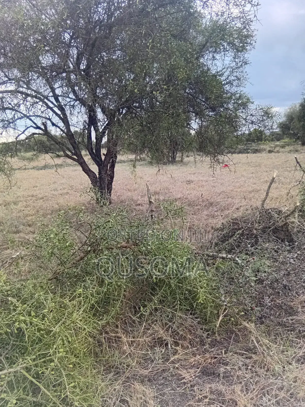 Affordable 1/8 Acre Serenity Plot, Stage 3 Olooloitikoshi, Kitengela