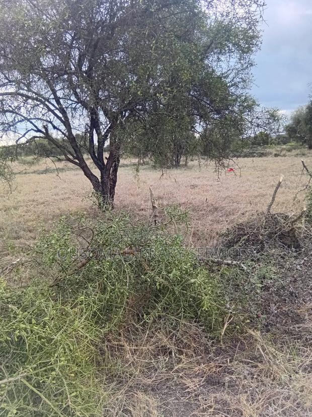 Affordable 1/8 Acre Serenity Plot, Stage 3 Olooloitikoshi, Kitengela - thumbnail 8