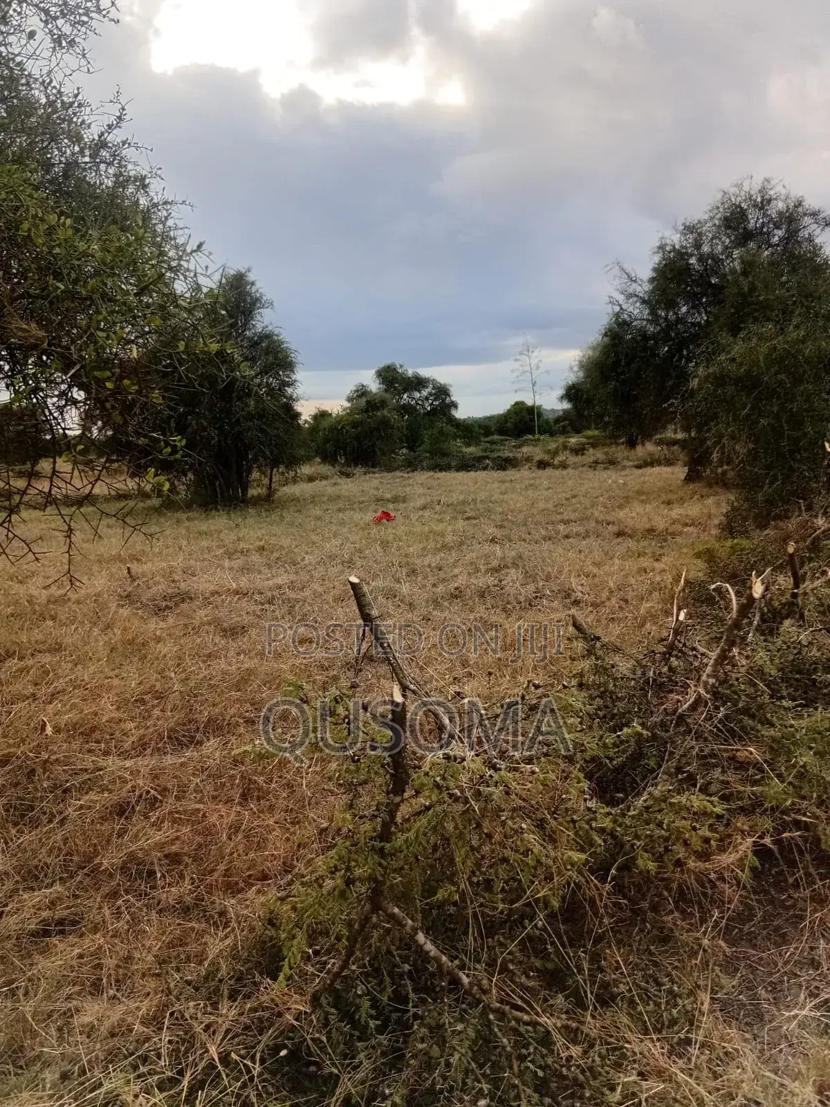 Affordable 1/8 Acre Serenity Plot, Stage 3 Olooloitikoshi, Kitengela