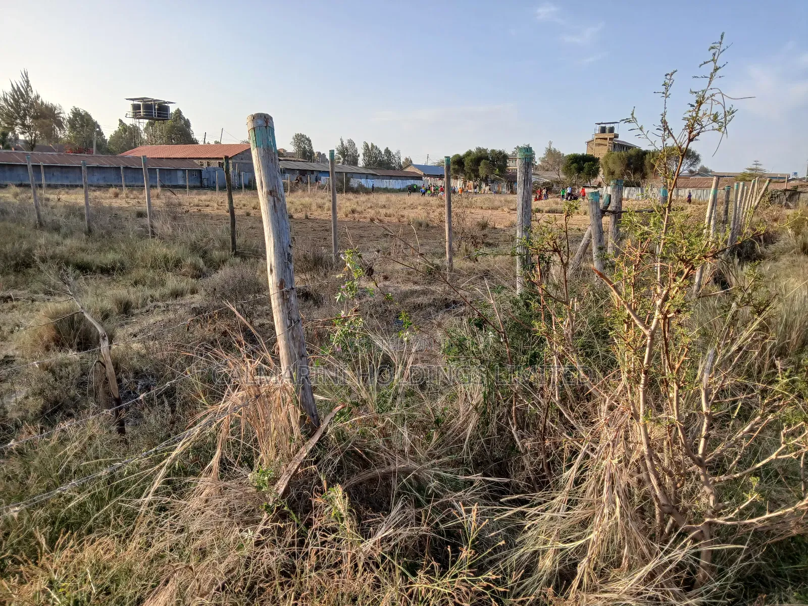 Distress Sale! Nairobi Block Title Deed 1/4 Acre Behind Lenana School