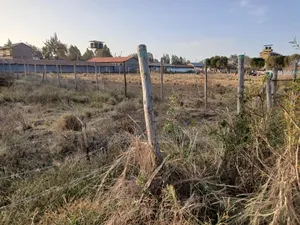Distress Sale! Nairobi Block Title Deed 1/4 Acre Behind Lenana School