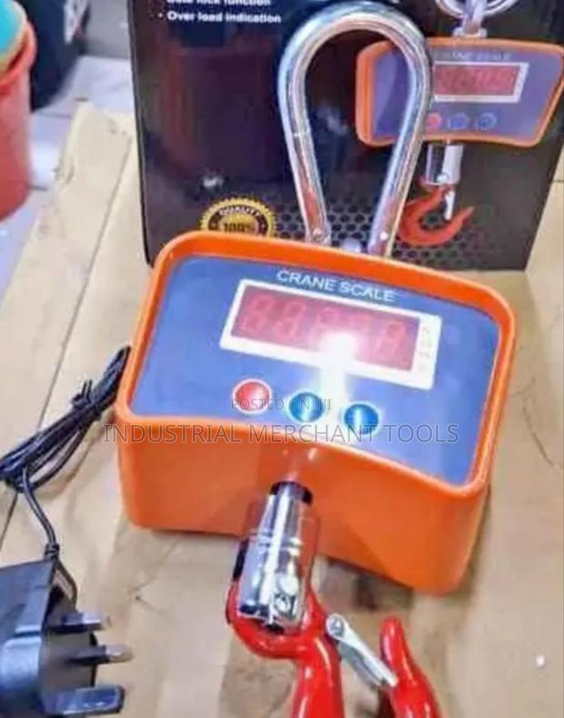 500kgs Crane/Hanging Scale - main view