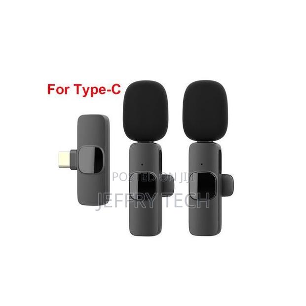 Wireless Lavalier Dual Microphone Audio Video Recording for Type C Pho