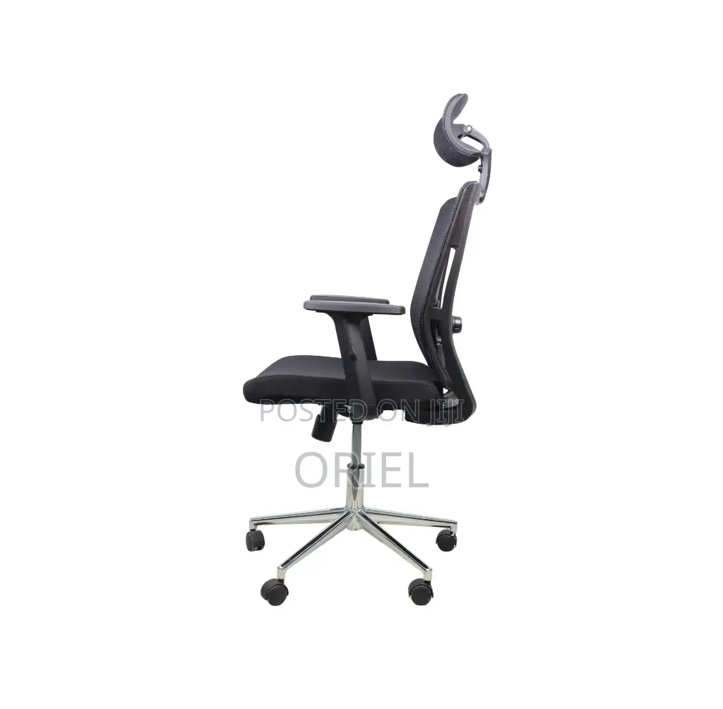 Modern Office Chair : Ergonomic Office Chair With Adjustable Headrest