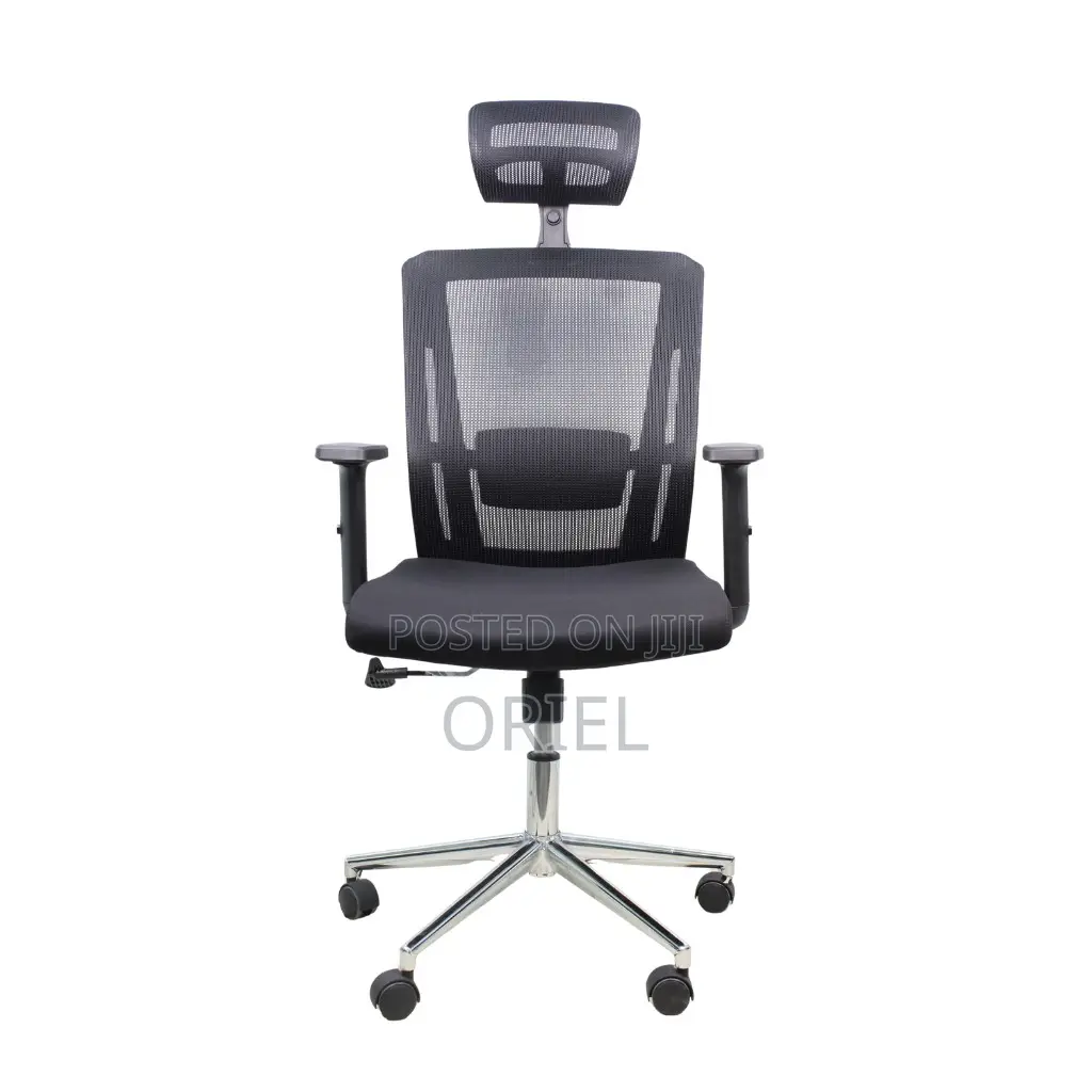 Modern Office Chair : Ergonomic Office Chair With Adjustable Headrest