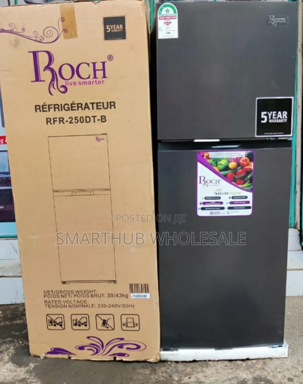 Roch 197 L RFR-250-Dt-B Double Door No Frost Refrigerato
