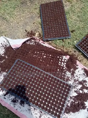 Cocopeat Blocks (Treated With Calcium Nitrate) - 5kg Blocks