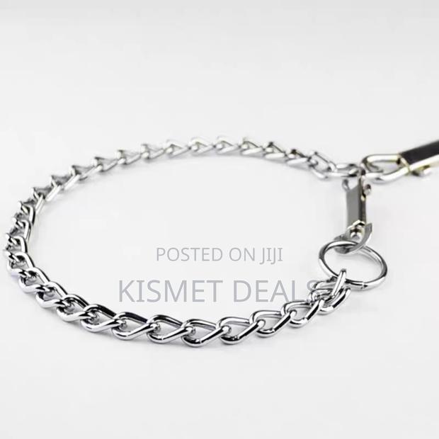 Heavy Duty Dog Chain Collar Stroller Pet Pet Walking Leash - main view