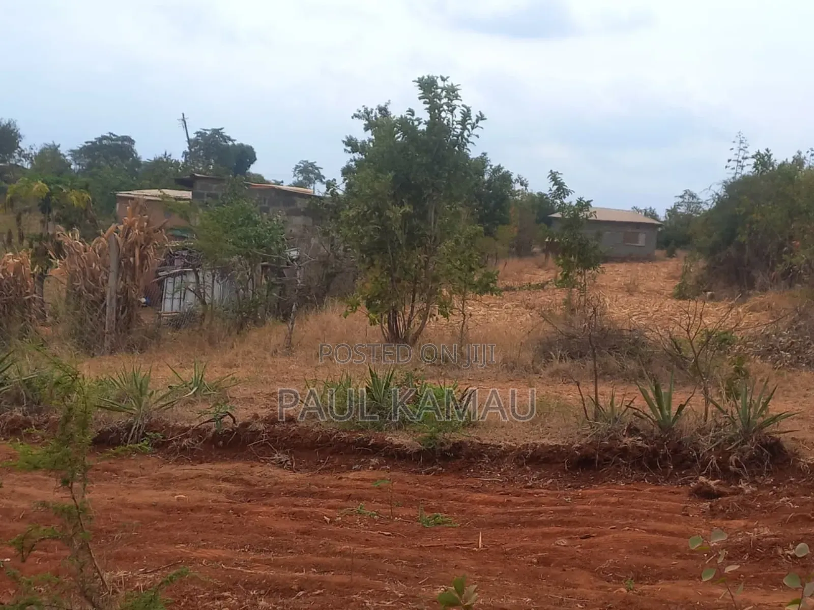 Pendo Garden