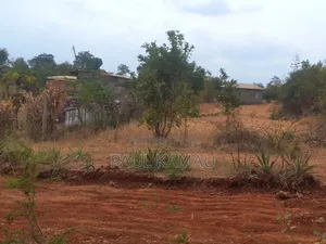 Pendo Garden