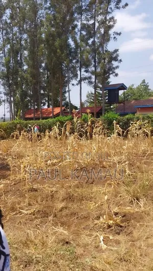 Pendo Garden