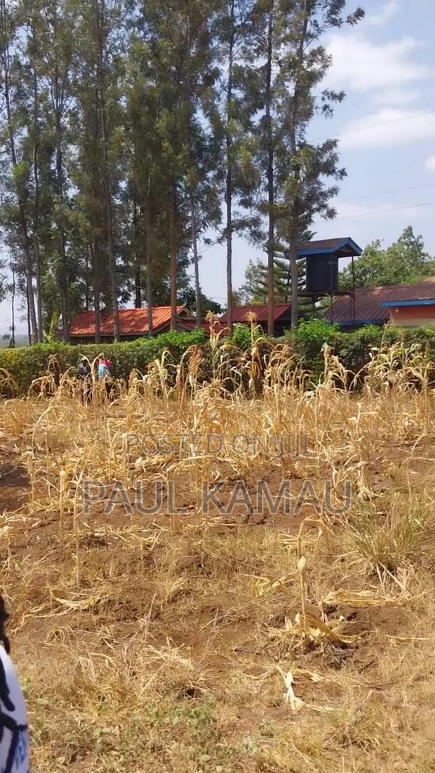 Pendo Garden