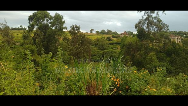 100 * 100 (1/4) Plot in Ruiru Mugutha Ihigaini Near Pcea - thumbnail 7