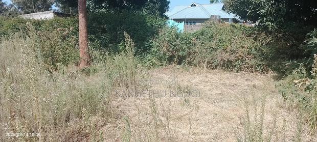 50 X 100 Plot at Waguthū, Kiambu - thumbnail 4
