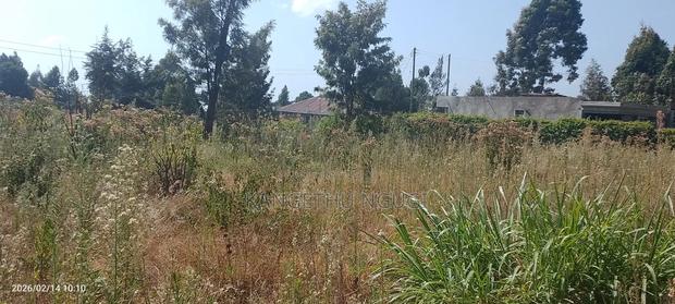 50 X 100 Plot at Waguthū, Kiambu - thumbnail 5